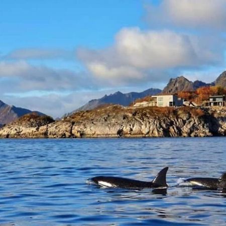 Amazing Seaview Lodge, Kabelvåg Екстериор снимка