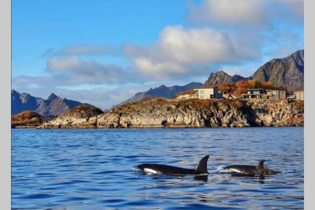 Amazing Seaview Lodge, Kabelvåg Екстериор снимка